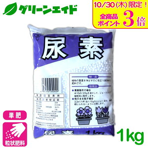 _{ISi|Cg3{Ly[{I^P Af 1KG f 엿  ƒ؉ _ | Z[