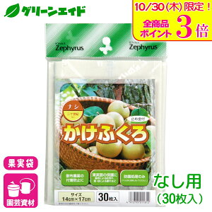 _{ISi|Cg3{Ly[{I^iV ʎ Ԃ Ȃp 30 }cg ʎ ʕ ی | Z[