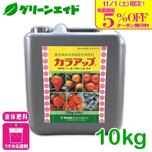 _{I撅5%OFFN[|sI^t̔엿 JAbv 10KG jb\[O[ tʎUz 엿 Fi xi i A~m_ tB`_ ʗvf ʎ 