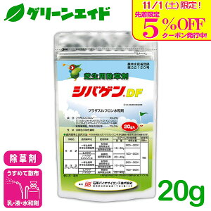 _{I撅5%OFFN[|sI^Ő  VoQDF 20g ΌoCITCGX G  | K[fjO