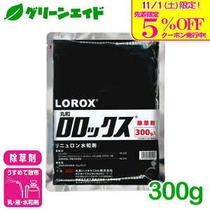 _{I撅5%OFFN[|sI^ bNXa 300g ۘaoCIP~J GO Xxq m~mtX} 񂰂܂  Ƃ낱 G _ _