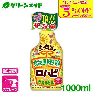 _{I撅5%OFFN[|sI^EEۍ ns 1000ml A[X  aC  ʎ ʕ  ϗtA | SҌ rMi[ Z[