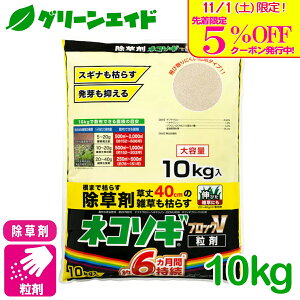 _{I撅5%OFFN[|sI^ lR\MubNV 10KG C{[i ԏ 󂫒n Ƃ܂ SҌ rMi[ 