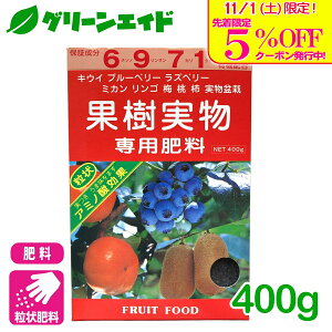 _{I撅5%OFFN[|sI^ʎ 엿 ʎp엿 400g A~m[w ʎ ʕ A~m_ | K[fjO SҌ rMi[