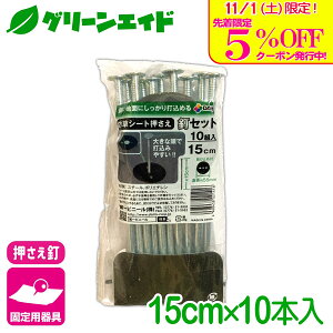 _{I撅5%OFFN[|sI^Œ hV[gBZbg 15CM 10 rj[ hV[g }` G΍V[g Œ ƒ؉ | K[fjO  |pi _