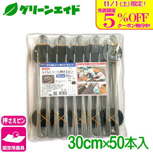 _{I撅5%OFFN[|sI^Œ 炭炭V[gs 30CM 50{ rj[ hV[g }` G΍V[g Œ ƒ؉ | K[fjO  |pi _