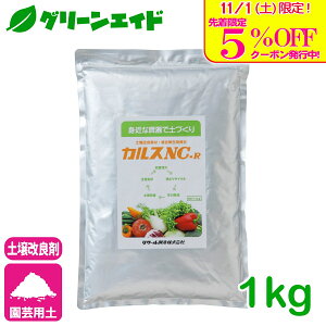 _{I撅5%OFFN[|sI^JX NC-R 1kg y yi T[yY L@   ƒ뉀| ݊k G t Ăʂ  ͔