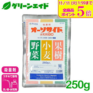 _Xg26hISi|Cg5{Ly[{I^Eۍ I[\TCha80 250G AX^CtTCGX  ʎ  Ԃ _ _