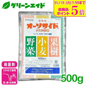 _Xg26hISi|Cg5{Ly[{I^Eۍ I[\TCha80 500g AX^CtTCGX a Ysa DFѕa  Ԃǂ  aQ _ _