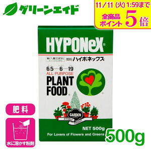 _Xg26hISi|Cg5{Ly[{I^엿 nC|lbNX 500g nC|lbNX    ϗtA | K[fjO