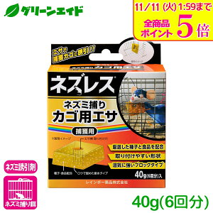 _Xg26hISi|Cg5{Ly[{I^lY~ U lYXlY~߂JSpGT 40g(6) C{[i ߊl 쏜 a Z[