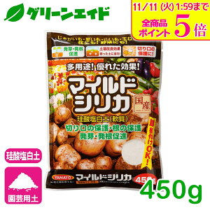 _Xg26hISi|Cg5{Ly[{I^VJ }ChVJ 450g }gR[|[V ]_y y ƒ؉ | K[fjO