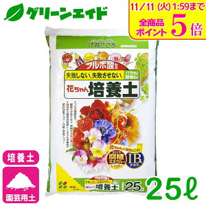 _Xg26hISi|Cg5{Ly[{I^|{y t{_z Ԃ|{y 25L Ԃ   K[fjO | rMi[ SҌ 