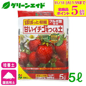 _Xg26hISi|Cg5{Ly[{I^C`S |{y ÂC`Sy 5L Ԃ ƒ؉ K[fjO | ʕ rMi[ SҌ