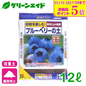 _Xg26hISi|Cg5{Ly[{I^u[x[ |{y u[x[̓y 12L Ԃ ƒ؉ K[fjO | rMi[ SҌ Z[