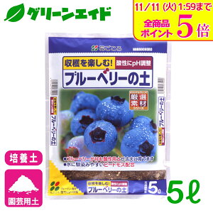 _Xg26hISi|Cg5{Ly[{I^u[x[ |{y u[x[̓y 5L Ԃ ƒ؉ K[fjO ʕ | rMi[ SҌ Z[