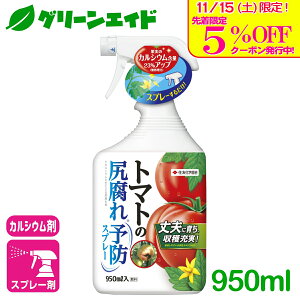 _{I撅5%OFFN[|sI^g}g K g}g̐K\hXv[ 950ml ZFw| ƒ؉ | 엿 t̔엿 \h