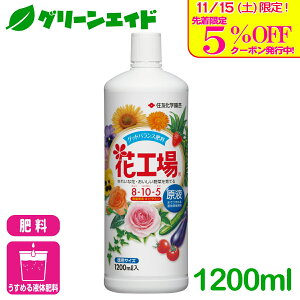 _{I撅5%OFFN[|sI^엿 t ԍH t 1200ml ZFw| K[fjO | rMi[ SҌ