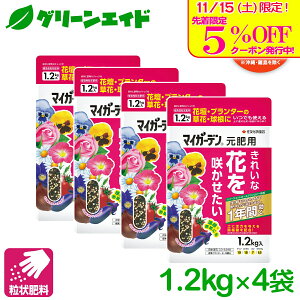 _{I撅5%OFFN[|sI^yz ܂Ƃߔ 4܃Zbg 엿  }CK[f p 1.2KG ZFw|  K[fjO | rMi[ SҌ