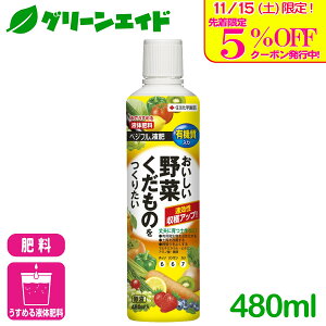 _{I撅5%OFFN[|sI^t̔엿  ʕ xWtt 480ml ZFw| ƒ؉ | 엿 