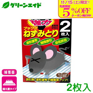 _{I撅5%OFFN[|sI^lY~߂V[g ubN˂݂Ƃ 2 Ώtm ͔S Ɩp ߊlV[g Z[