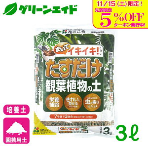 _{I撅5%OFFN[|sI^|{y ϗtA̓y 3L Ԃ | K[fjO rMi[ SҌ Z[