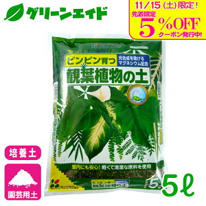 _{I撅5%OFFN[|sI^|{y ϗtA̓y 5L Ԃ | K[fjO rMi[ SҌ Z[