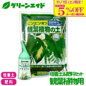 _{I撅5%OFFN[|sI^yz |{y엿Zbg ϗtAp Ԃ nC|lbNX ϗtA̓y 5L L[g ϗtAp 150ml py t̔엿 t ϗtA