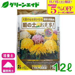 _{I撅5%OFFN[|sI^LN |{y e̓yI 12L Ԃ | K[fjO Z[