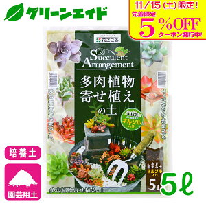 _{I撅5%OFFN[|sI^|{y A񂹐A̓y 5L Ԃ T{e | K[fjO rMi[ SҌ Z[