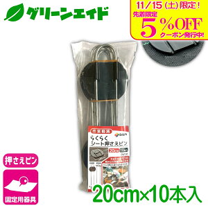 _{I撅5%OFFN[|sI^Œ 炭炭V[gs 20CM 10{ rj[ hV[g }` G΍V[g Œ ƒ؉ | K[fjO  |pi _