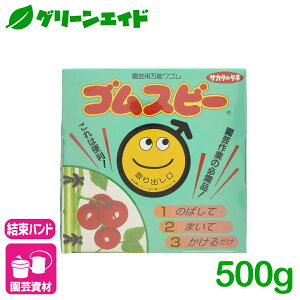 _JÁI撅5%OFFN[|sI^|p\փS SXr[ 500g TJ^̃^l U  | _   |p x