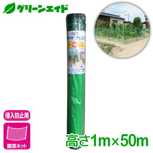 hb lbg Ă؉K[htFX 1MX50M }cg Ck lR | ƒ؉ rMi[ SҌ