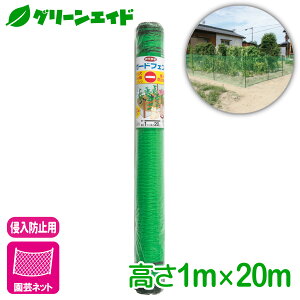 _{ISi|Cg5{Ly[{I^hb lbg Ă؉K[htFX 1MX20M }cg Ck lR | ƒ؉ rMi[ SҌ