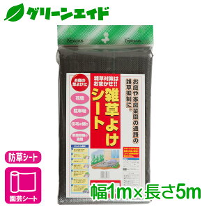 _{ISi|Cg3{Ly[{I^hV[g G悯V[g 1×5m }cg G΍ ƒ؉ | K[fjO Z[