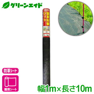 _{ISi|Cg5{Ly[{I^hV[g G΍V[g 1X10M }cg G΍ ƒ؉ | K[fjO Z[