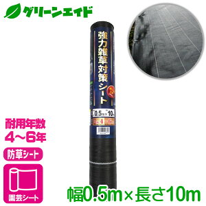 _{ISi|Cg10{Ly[{I^hV[g ͎G΍V[g@ϔN4`6N 0.5X10M }cg G΍ ƒ؉ | K[fjO Z[