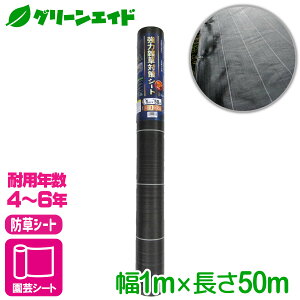 _{ISi|Cg5{Ly[{I^hV[g ͎G΍V[g@ϔN4`6N 1X50M }cg G΍ ƒ؉ | K[fjO