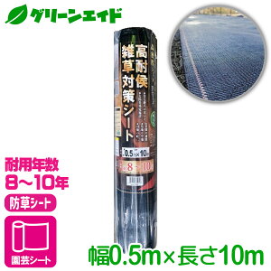 _ԌIwzɉĎgő1200~OFFN[|sI^hV[g όG΍V[g@ϔN8`10N 0.5X10M }cg G΍ ƒ؉ | K[fjO Z[