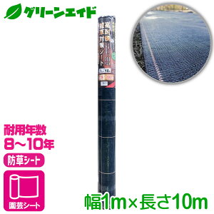 _11/4()20JnI撅7%OFFN[|sI^hV[g όG΍V[g@ϔN8`10N 1X10M }cg G΍ ƒ؉ | K[fjO Z[