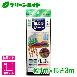 _{ISi|Cg3{Ly[{I^hV[g Ă鑐悯V[g 1×3m }cg Uo[ G΍ ƒ؉ | K[fjO Z[