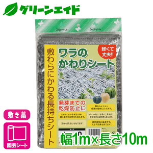 ~m ̂V[g@@@@@ 1×10m }cg XCJ ڂ ƒ؉ | SҌ rMi[ Z[