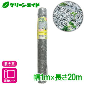 ＼ラスト26h限定！全品ポイント5倍キャンペーン実施中！／敷き藁 ワラのかわりシート 1X20M マツモト スイカ かぼちゃ 家庭菜園 園芸 初心者向け ビギナー向け 応援セール