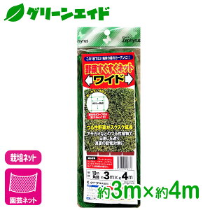 |plbg ؂lbgCh 3×4m }cg Ulbg ƒ؉ | K[fjO SҌ rMi[ Z[