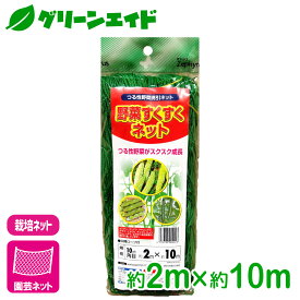 園芸用ネット 野菜すくすくネット 2×10m マツモト 誘引ネット 家庭菜園 園芸 ガーデニング 初心者向け ビギナー向け 応援セール
