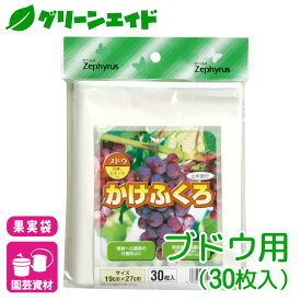ブドウ 果実袋 かけぶくろ ぶどう用 30枚入 マツモト 果樹 果物 保護袋 園芸