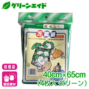 n \܃bV O[ 4 40×65cm }cg ƒ؉ | K[fjO Z[