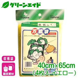 n \܃bV CG[ 4 40×65cm }cg ƒ؉ | K[fjO Z[