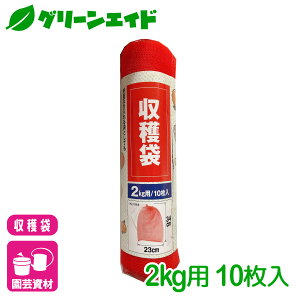 np lbg n 10 2kgp }cg ƒ؉ | K[fjO Z[