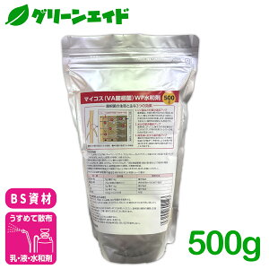 _JÁI撅5%OFFN[|sI^ۍ }CRXۍWPa 500g oCIV[heNmW[Y  oCIXeB~g  y A 엿 {z z 